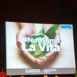 11295915_10204334548747235_2039918109128813046_n