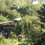 eGardens Park for Creativity, Innovation, Entrepreneurship and Sustainable Peace 2